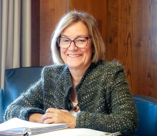 Emergenza neve a Seulo, Laconi “Continuiamo a monitorare la situazione”