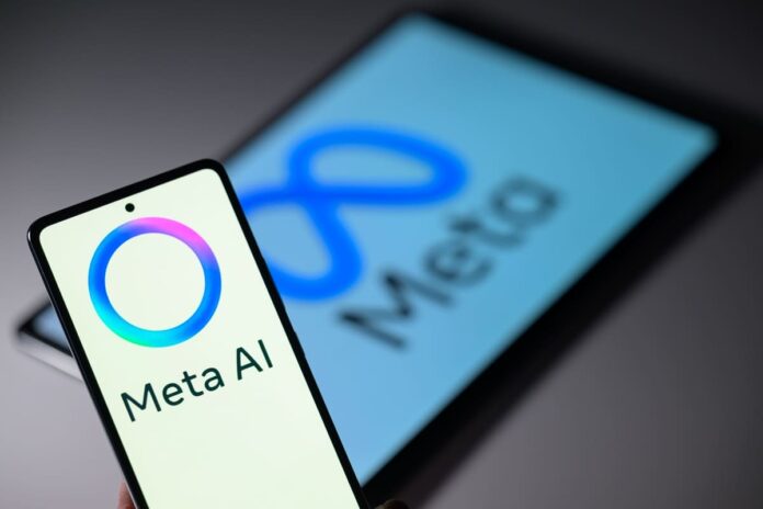 Meta-AI (1)
