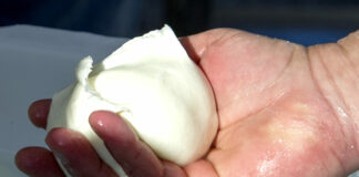 Nel primo semestre del 2025 i formaggi freschi crescono del 12%