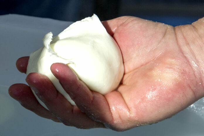 Mozzarella di bufala