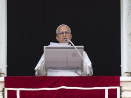 Papa Leone “Ladro chi saccheggia risorse della terra combattendo guerre, ruba a tutti noi un futuro di pace”