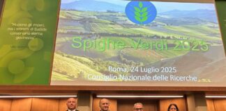 Assegnate le Spighe Verdi 2025 a 90 comuni virtuosi: l’elenco completo