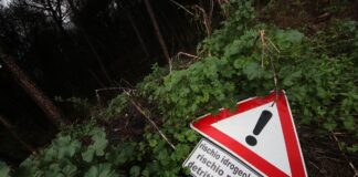 Ispra, nel 2024 aumenta il territorio italiano a rischio dissesto idrogeologico