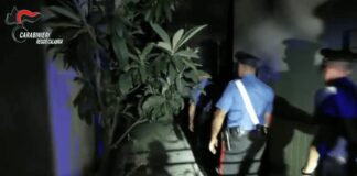 Violenza sessuale su un minore in parrocchia, arrestato un sacerdote nel Cosentino