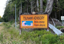 Scossa di terremoto di magnitudo 7.6 al largo del Giappone, allerta tsunami