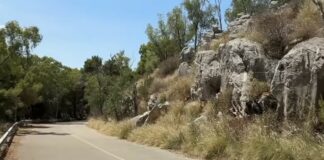 Bando da 1,6 mln per la ‘Panoramica’ di Monte Pellegrino. Schifani “Lavoriamo per restituire alla pubblica fruizione un simbolo di Palermo”