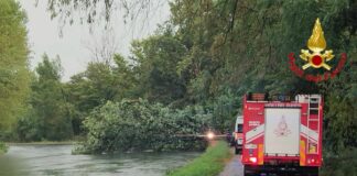 Nubifragio nel milanese, morta una donna colpita da un albero