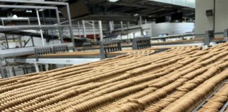 CTH Invest Group, in esercizio 2023/2024 fatturato consolidato a 3 miliardi