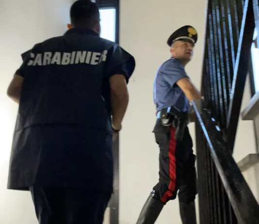 In casa hashish, anfetamina ed ecstasy, arrestato 20enne sudtirolese