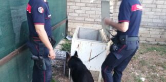 A Velletri 14 arresti per spaccio di droga nel centro storico