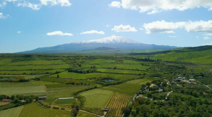 GAL Etna, natura viva alle pendici del vulcano tra sentieri e crateri