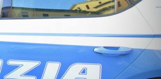 Operazione polizia in 24 province contro criminalità cinese, 13 arresti