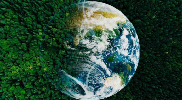 Rifiuti elettronici, LG e Cobat RAEE promuovono il recupero consapevole