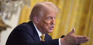 نيويورك تايمز: ترامب يعتزم عقد لقاء مع بوتين وزيلينسكي