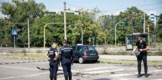 Donna investita e uccisa a Milano, fermati quattro minorenni