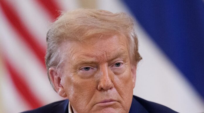 Trump “Preferirei non essere presente a incontro Putin-Zelensky”