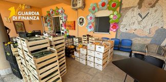 Abusivismo commerciale a Vibo Valentia, sequestrate due tonnellate di frutta e verdura