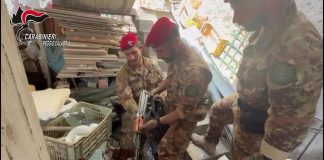 ‘Ndrangheta, scoperto un Kalashnikov nascosto nel Reggino