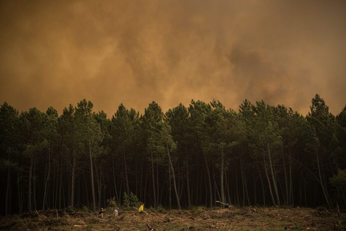 Emergenza incendi in Spagna