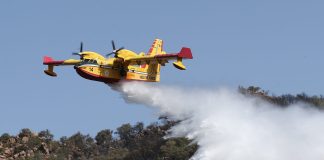 Corpo forestale della Regione Siciliana, via libera a 369 assunzioni