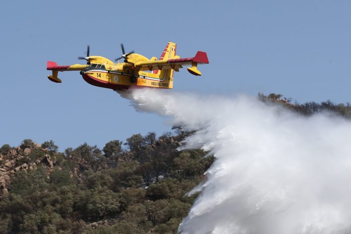 IPA_Agency_FGR3058182