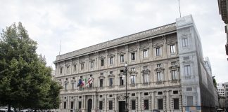 Tutela animali a Milano, 15mila euro di fondi per chi se ne prende cura