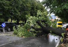 Maltempo, in Toscana violenti nubifragi. Registrati 109.000 fulmini in dodici ore