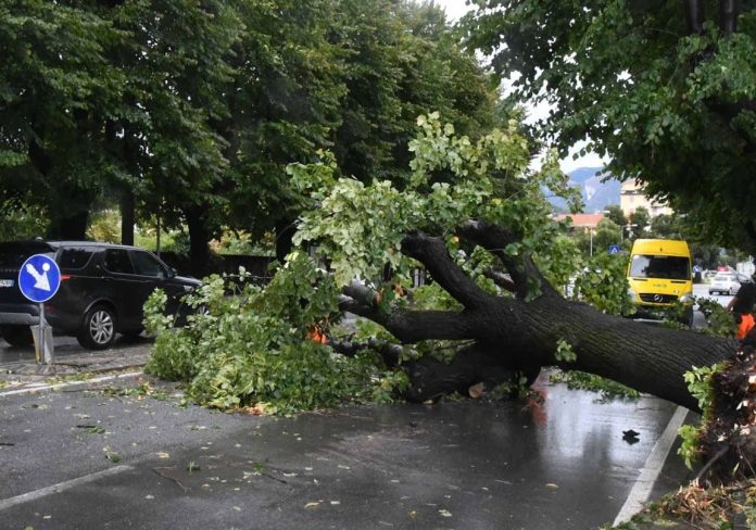 Maltempo-Toscana (1)