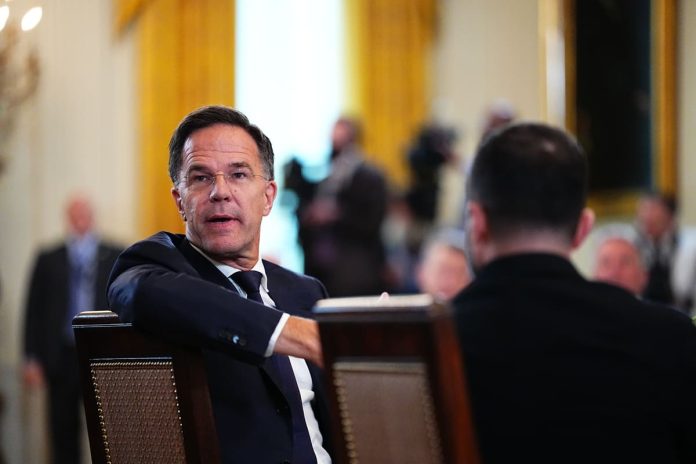 Rutte (1)
