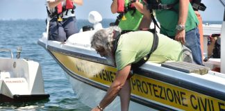 Dopo le cure a Venezia due tartarughe Caretta caretta tornano a nuotare