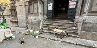 Palermo, Randazzo “Ripristinare il decoro della chiesa di San Giuseppe dei Teatini”