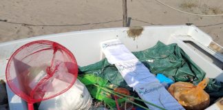 Ecoitaliasolidale ripulisce la spiaggia di Torvaianica