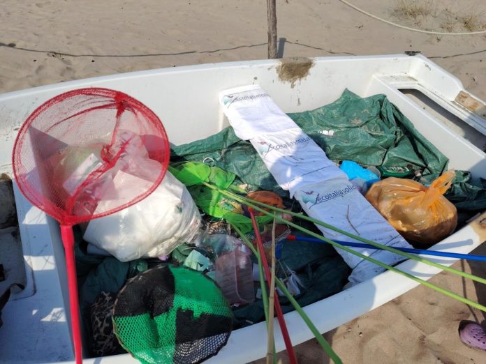 Ecoitaliasolidale ripulisce la spiaggia di Torvaianica