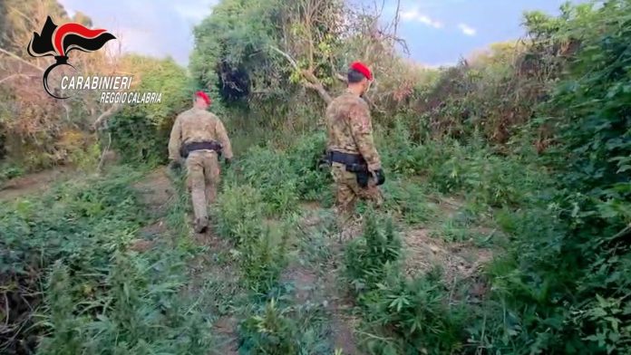 carabinieri calabria