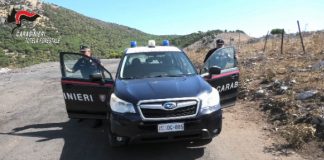 Danno fuoco a dei cavi di rame in un bosco, due arresti nel palermitano