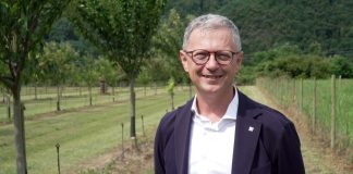 Zannier “Produzione delle castagne in Friuli una risorsa per le valli al Natisone”