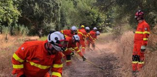 Maltese firefighters help battle Portugal wildfires
