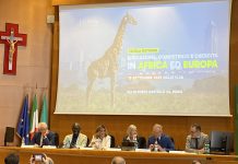 Lumsa University establishes Africa Centre to strengthen Euro-African relations