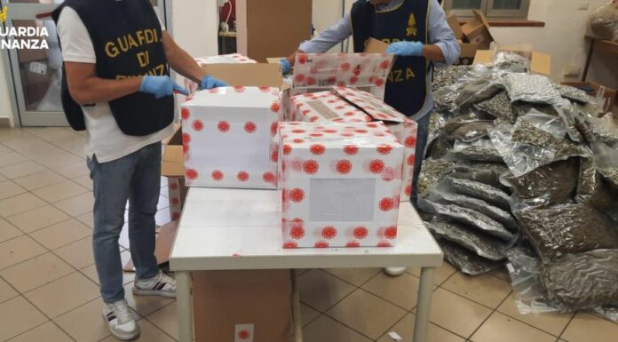 Bologna, sequestrate 500 kg di infiorescenze di canapa. Una denuncia