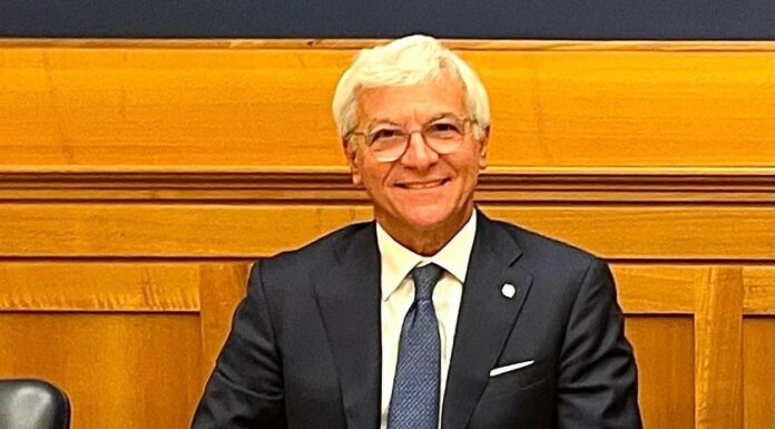 Università, Catania (FNO TSRM e PSTRP) “Nostre professioni in tenuta”