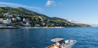 Suzuki presenta nuova gamma al Salone della Nautica, Ilariuzzi “Fuoribordo in crescita”