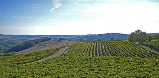 La Corte dei conti europea “Nell’agricoltura non si coltiva abbastanza innovazione”