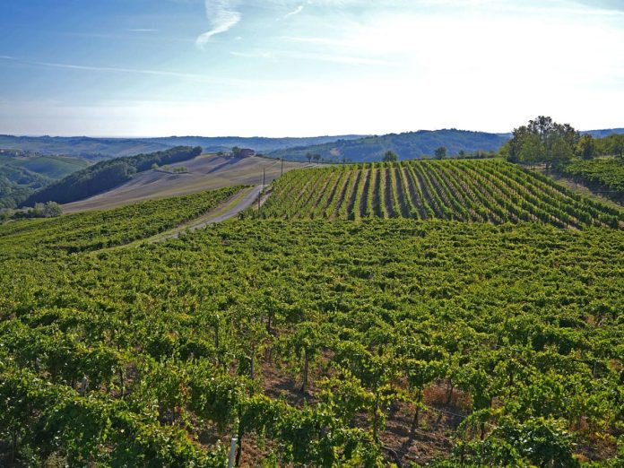 Agricoltura-biologica (1)