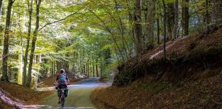 Al via la prima edizione di “Ciclovia della Salute” nei Parchi della Calabria