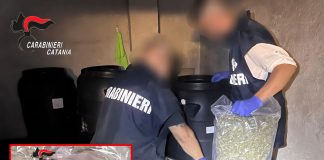 Nascondeva una pistola con silenziatori e 30 kg di marijuana, 62enne arrestato a Catania