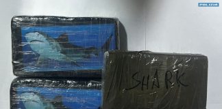 Trasportavano in taxi 6 kg di cocaina, due arresti a Siracusa