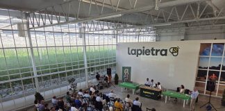 Confagricoltura ed Enel insieme verso le agroenergie per la transizione, presentato uno studio a Monopoli