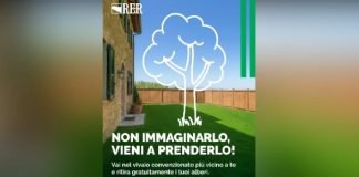 In Emilia-Romagna riparte la distribuzione gratuita di alberi e piante