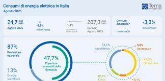 Terna, ad agosto fonti rinnovabili al 48% della domanda elettrica