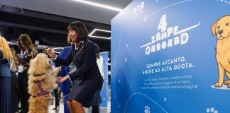 Volo dimostrativo Ita Airways con cani di grossa taglia in cabina, Salvini “Un segno di civiltà”